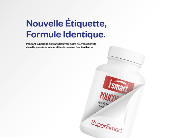 Complément Naturel contre le Cholestérol