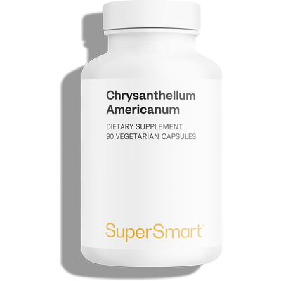 Chrysantellum Americanum Supplement