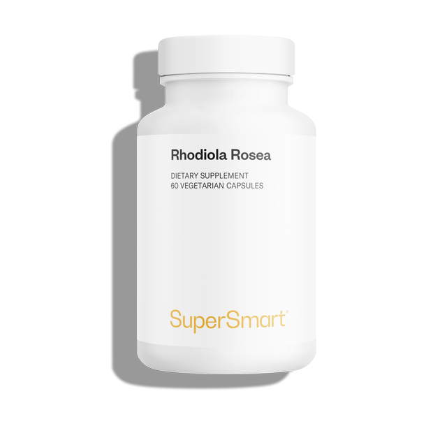 Rhodiola Rosea suplemento alimentar, planta adaptogénica