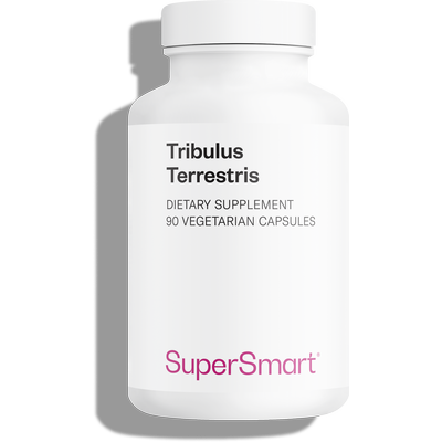 Integratore alimentare Tribulus Terrestris, 40% di saponine