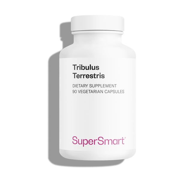 Tribulus Terrestris suplemento alimentar, 40% saponinas