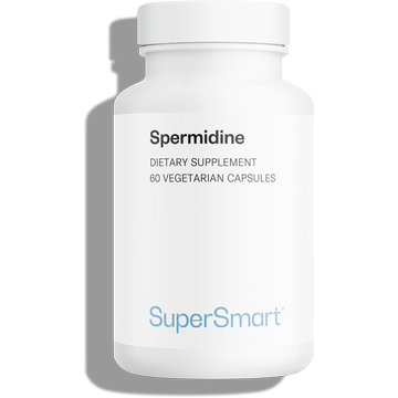 Spermidine supplement for fighting ageing