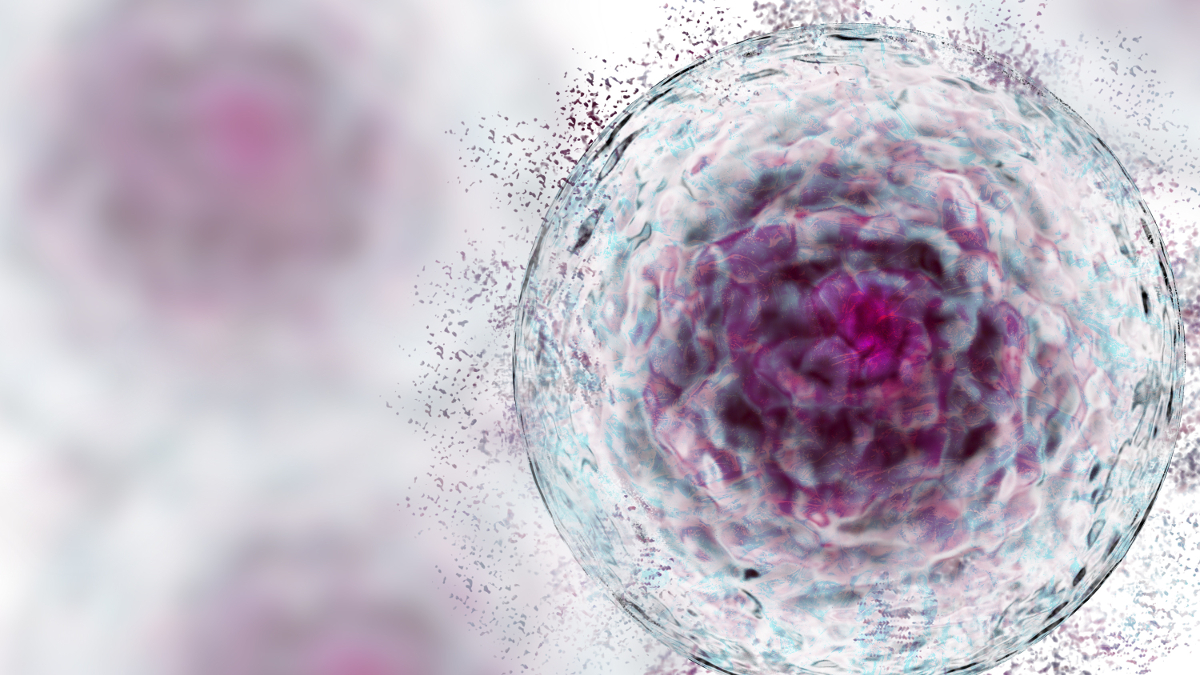 Vecchia cellula senescente che non può più dividersi