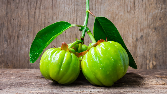 Vrucht voor de vetverbranding Garcinia cambogia