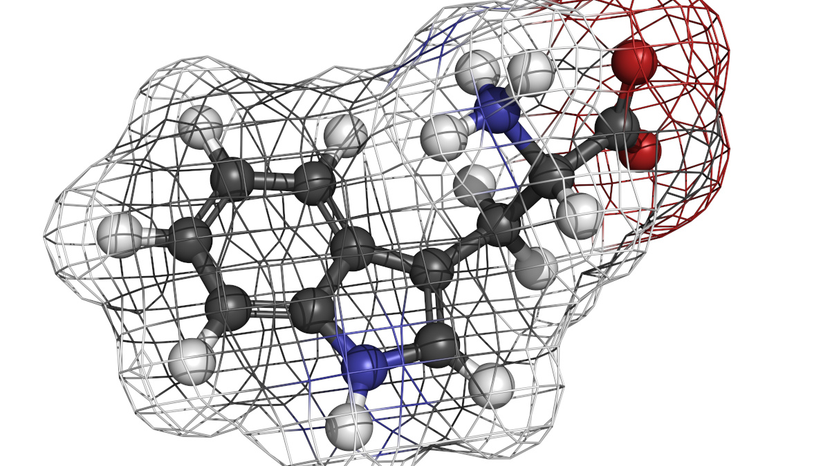 Molecule of tryptophan