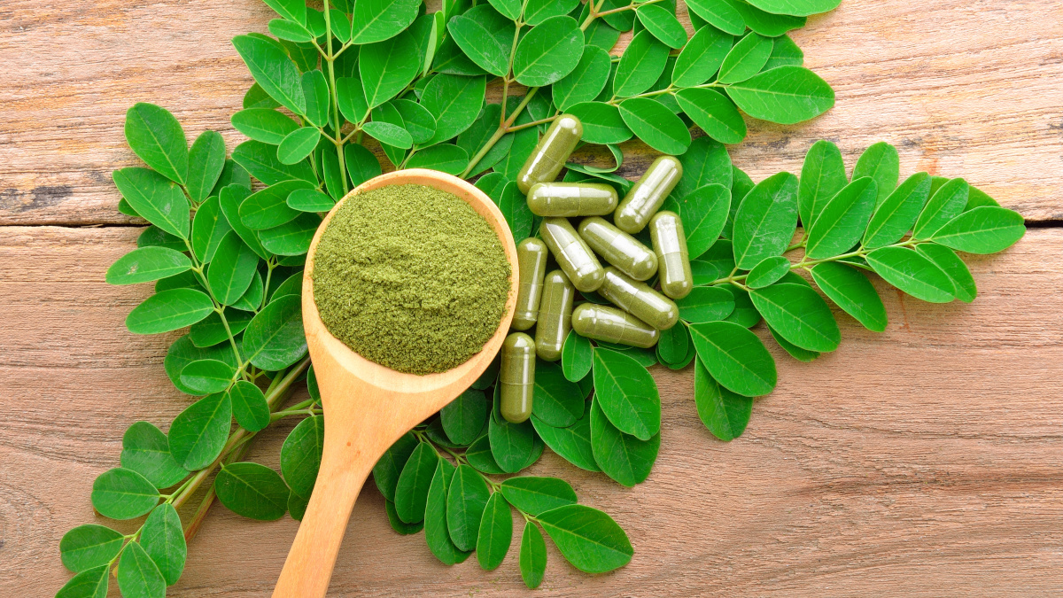 Cápsulas, pó e folhas de moringa