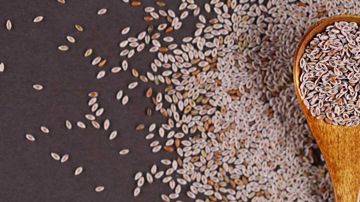 Blond psyllium seeds with wooden spoon