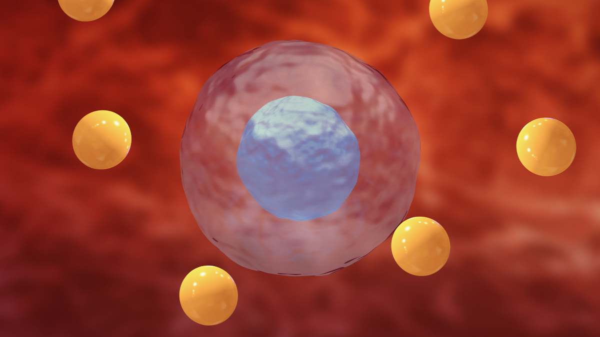 Oxidativer Stress verursacht durch freie Radikale