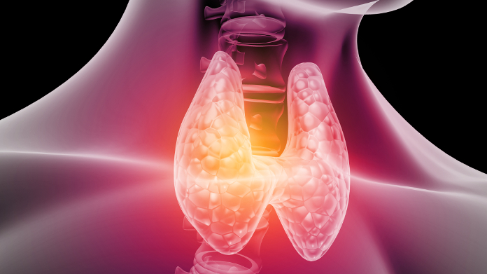 L'anatomia della ghiandola tiroidea