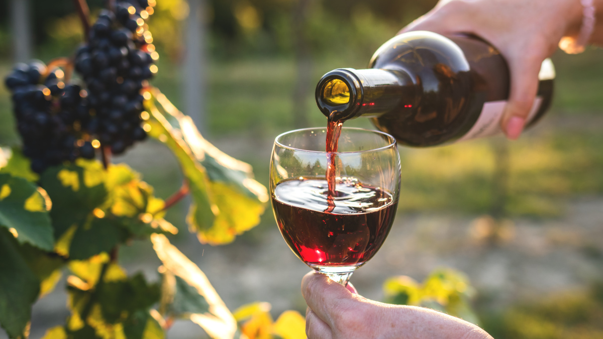 Vino tinto en un viñedo